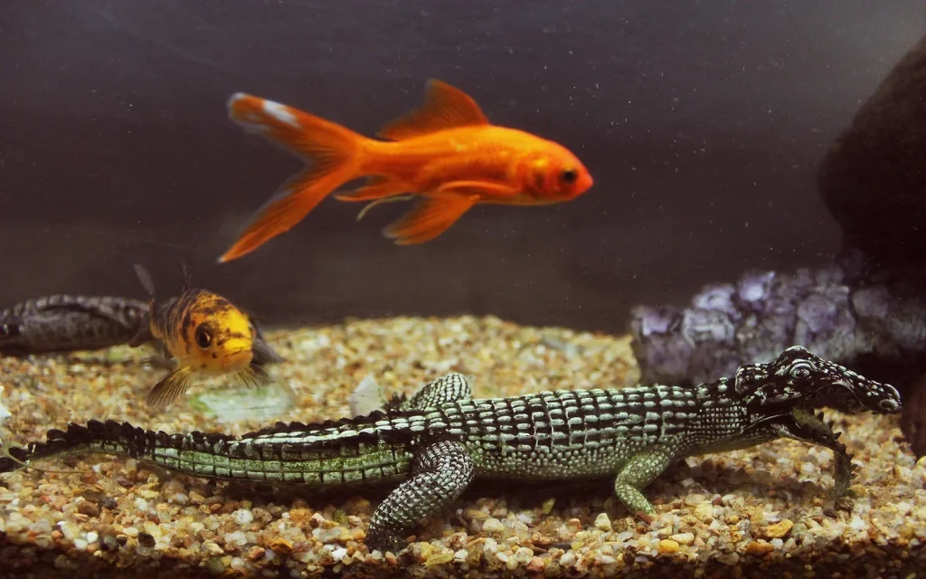 Para ilmuwan merevisi pemahaman tentang kesadaran hewan: Reptil, ikan, dan serangga mungkin memiliki kesadaran