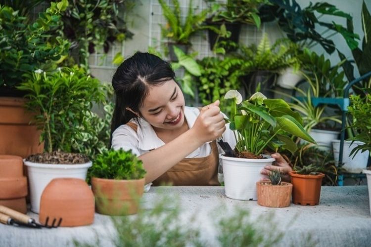Para Penggemar Tanaman Akan Selalu Memiliki 8 Kualitas Unggul Ini Dalam Diri Mereka, Menurut Pandangan Psikologi