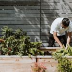 9 Sayuran Paling Mudah Diperlakukan dan Ditanam Di Kebun Rumah!