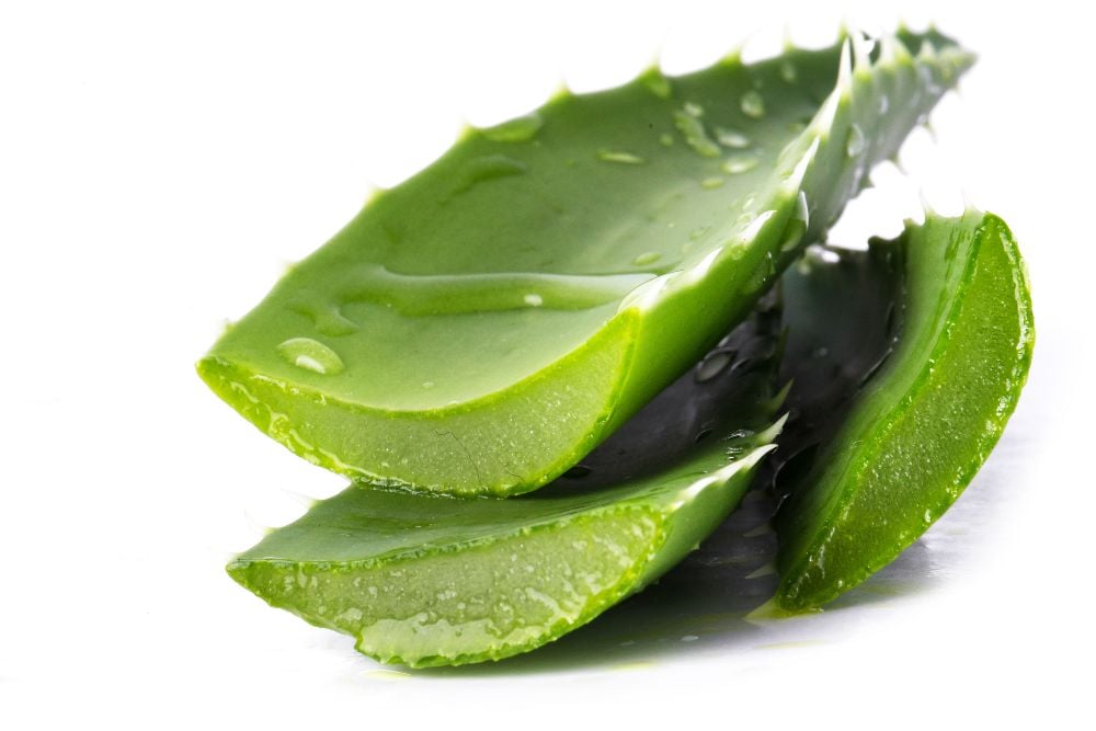 10 Tanaman Obat yang Dapat Ditanam di Halaman Rumah Anda!